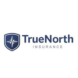True North Insurance Brokers, Springwater, ON opening hours