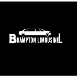 Brampton limousine, opening hours