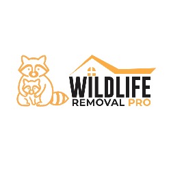 Wildlife Removal Pro Toronto, opening hours
