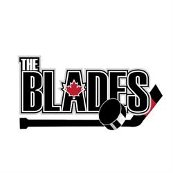 The Blades Adapted Sports, Cambridge, ON opening hours