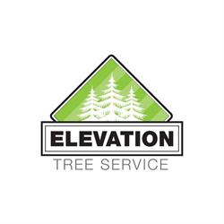 Elevation Tree Service, Woodstock, ON opening hours