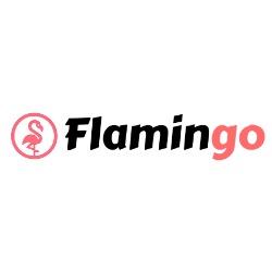 火烈鸟科技Flamingo Technology - Web Design, Unionville, ON opening hours